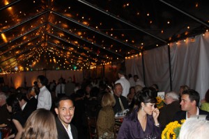 pic00222191